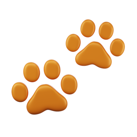 Pet footprint  3D Icon