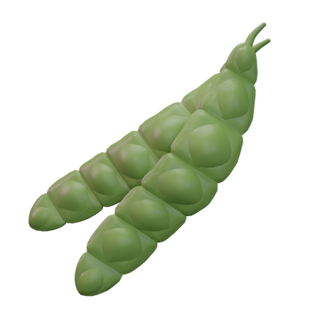 Petai  3D Icon