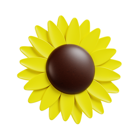 Pétale de tournesol  3D Icon