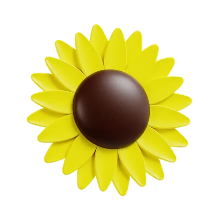 Pétale de tournesol  3D Icon