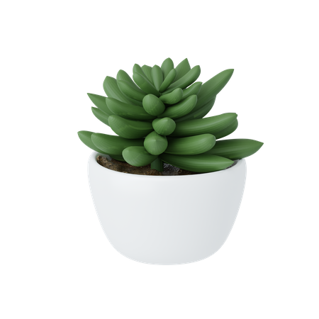 Petite plante  3D Icon