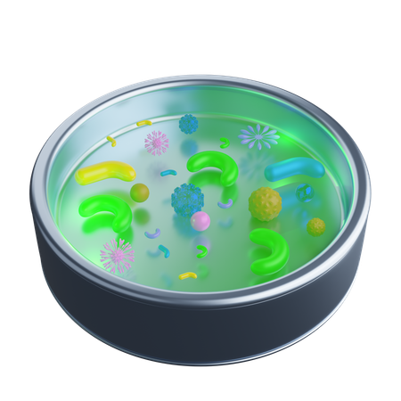 Petri Dish  3D Icon