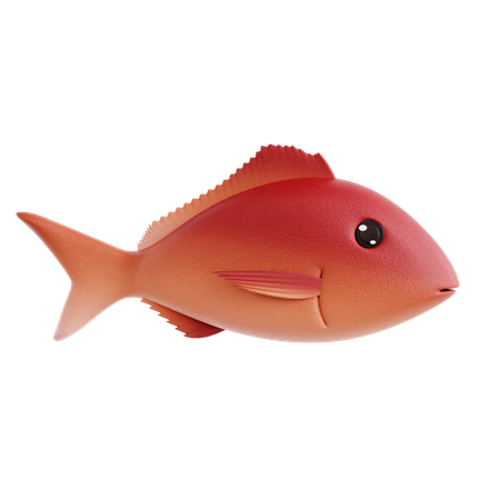 Pescado rojo  3D Icon