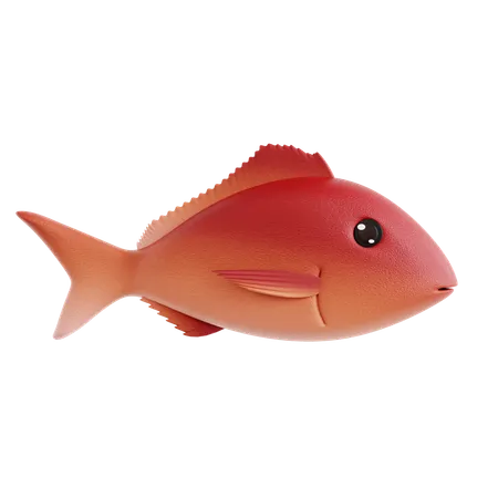 Pescado rojo  3D Icon