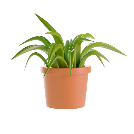 Pflanze Auf Transparentem Hintergrund 3 D Illustration 3D Illustration
