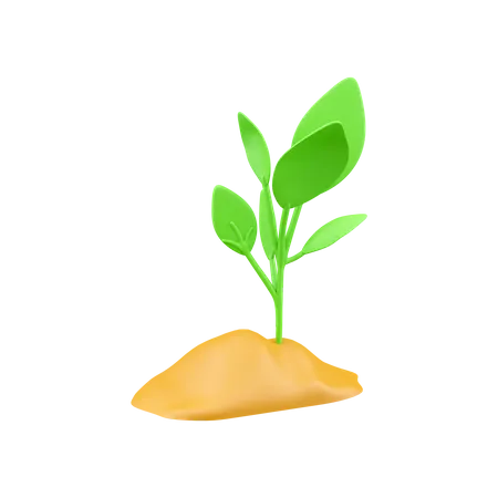 Pflanzenwachstum  3D Icon