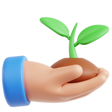 Pflanzung  3D Icon
