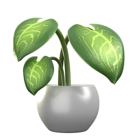 Philodendron  3D Icon