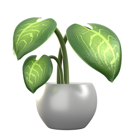 Philodendron  3D Icon