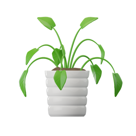 Philodendron-Pflanze  3D Icon