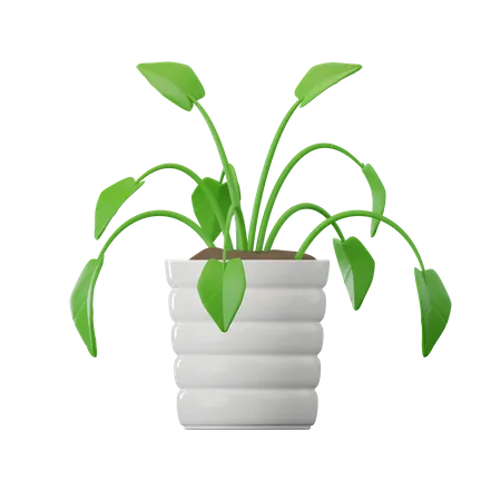 Philodendron-Pflanze  3D Icon