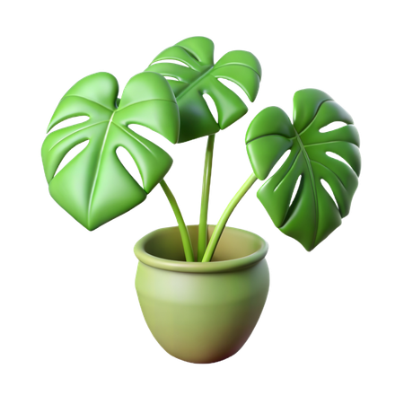 Philodendron Plant  3D Icon