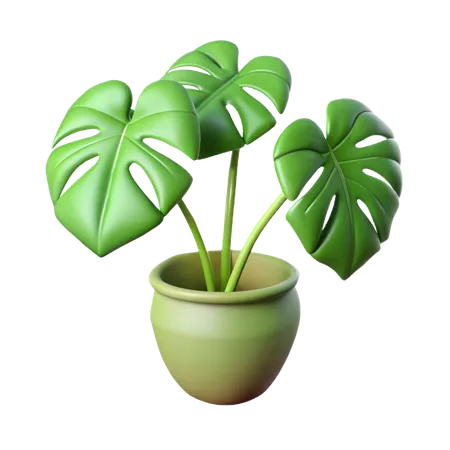 Philodendron Plant  3D Icon