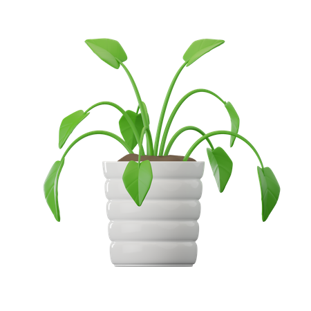 Philodendron Plant  3D Icon