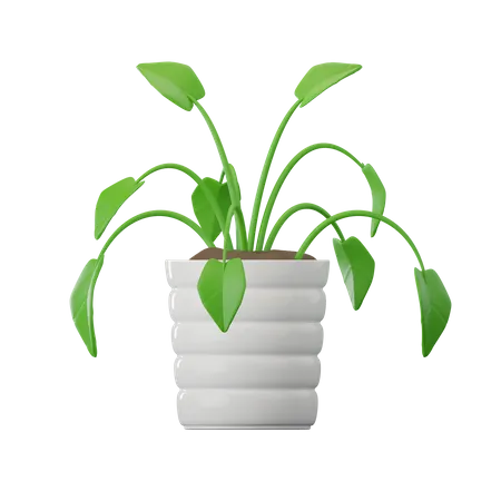 Philodendron Plant  3D Icon