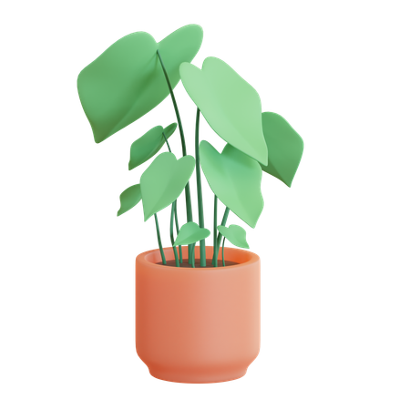 Philodendron Pot  3D Icon