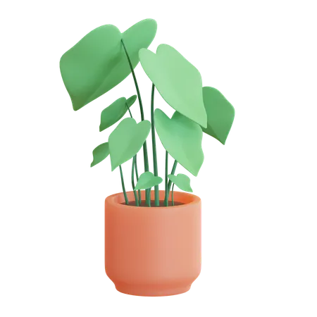 Philodendron Pot  3D Icon