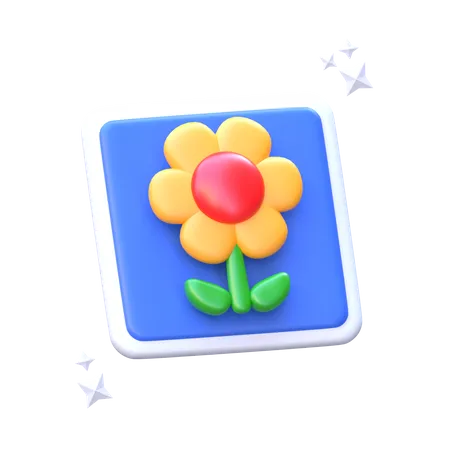 Image  3D Icon