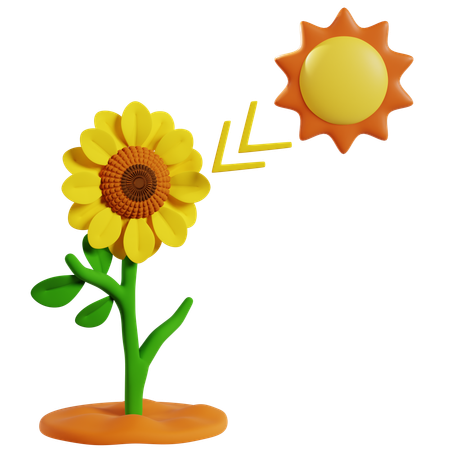 Photosynthèse du tournesol pour la production d'énergie  3D Icon