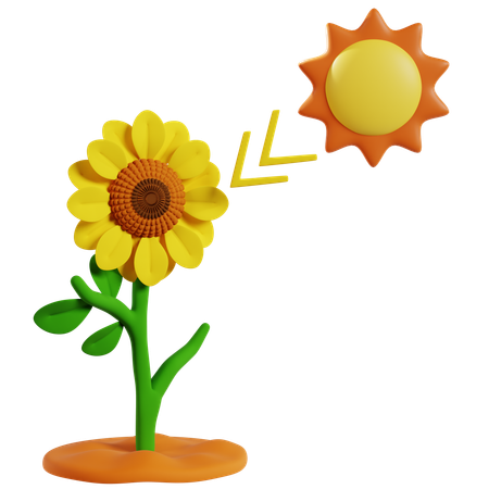 Photosynthese in Sonnenblumen zur Energieerzeugung  3D Icon