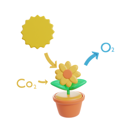 Photosynthesezyklus  3D Icon