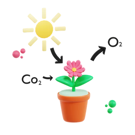 Photosynthesis  3D Icon