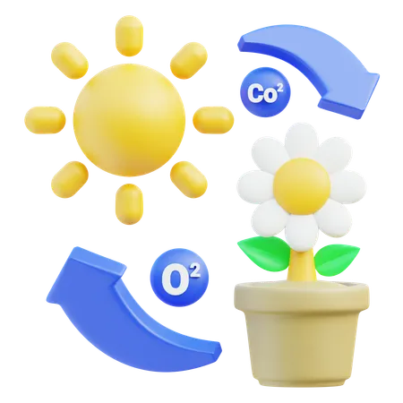 Photosynthesis  3D Icon