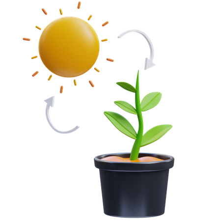 Photosynthesis  3D Icon