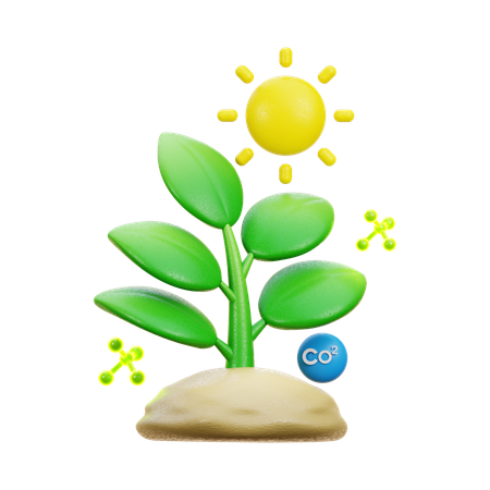 Photosynthesis  3D Icon