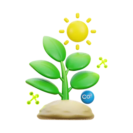 Photosynthesis  3D Icon