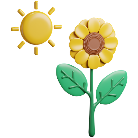 Photosynthesis  3D Icon