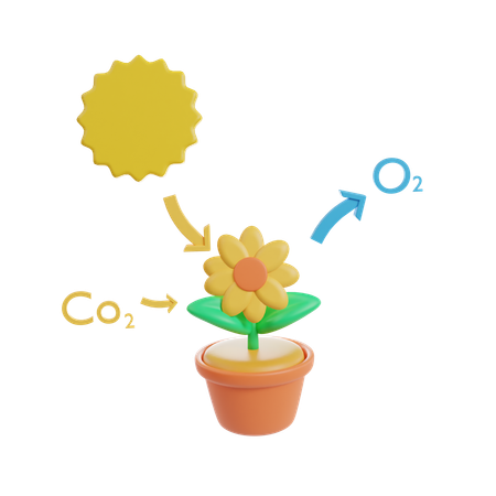 Photosynthesis cycle  3D Icon
