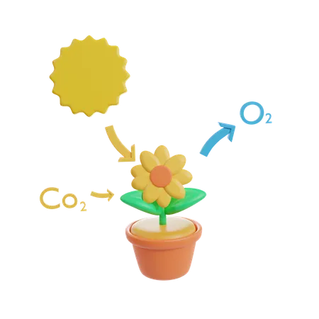 Photosynthesis cycle  3D Icon