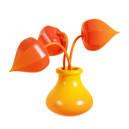 Physalis  3D Icon