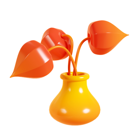 Physalis  3D Icon