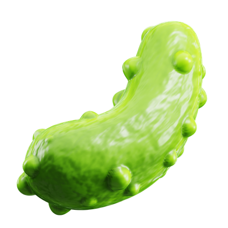 Pickle  3D Icon