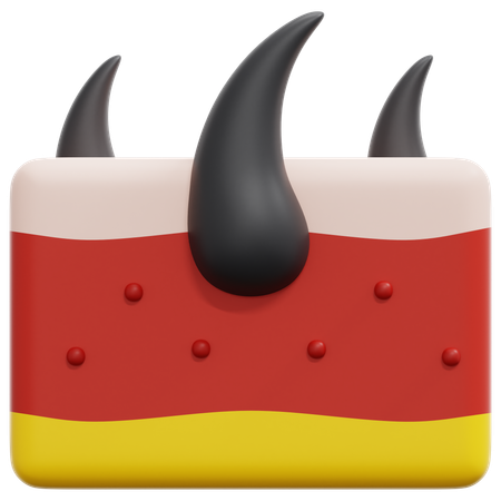 Piel  3D Icon