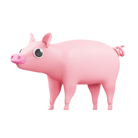 Pig  3D Icon