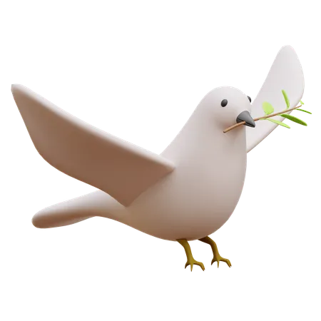 Pigeon  3D Icon