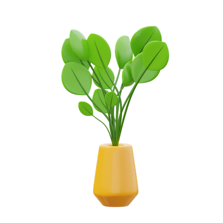 Pilea  3D Icon