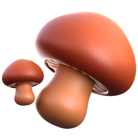 Pilz  3D Icon