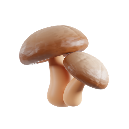 Pilz  3D Icon