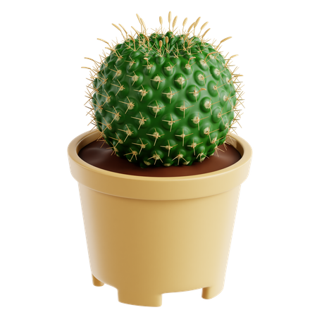 Pinchusion Cactus  3D Icon