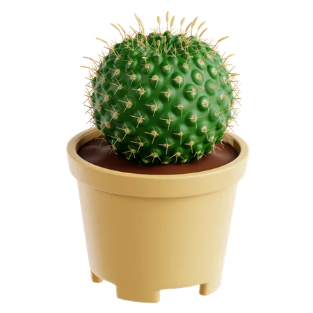 Pinchusion Cactus  3D Icon