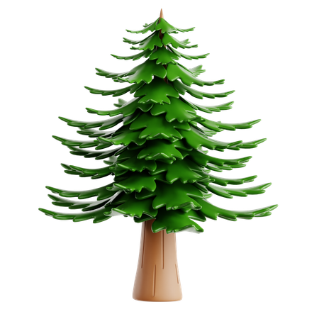 Pine  3D Icon