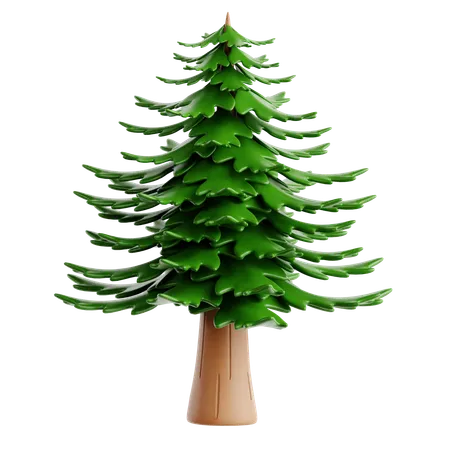 Pine  3D Icon