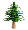 Pine