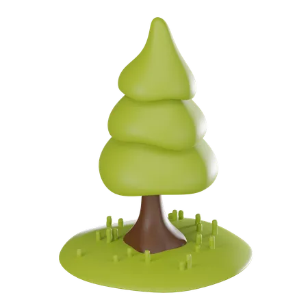 Pine  3D Icon