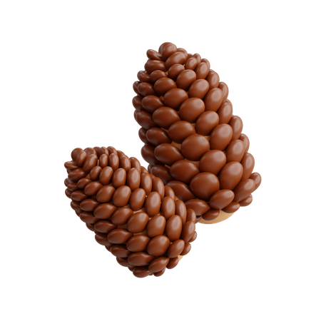 Pine Cone  3D Icon