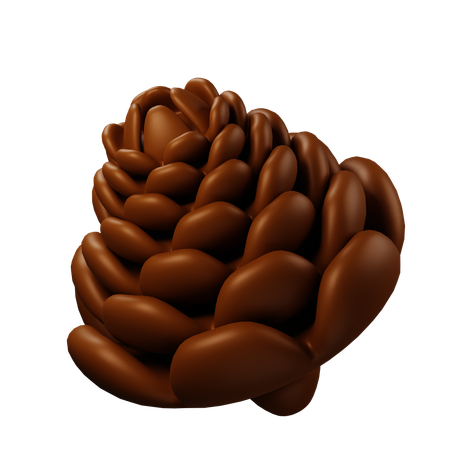 Pine Cone  3D Icon